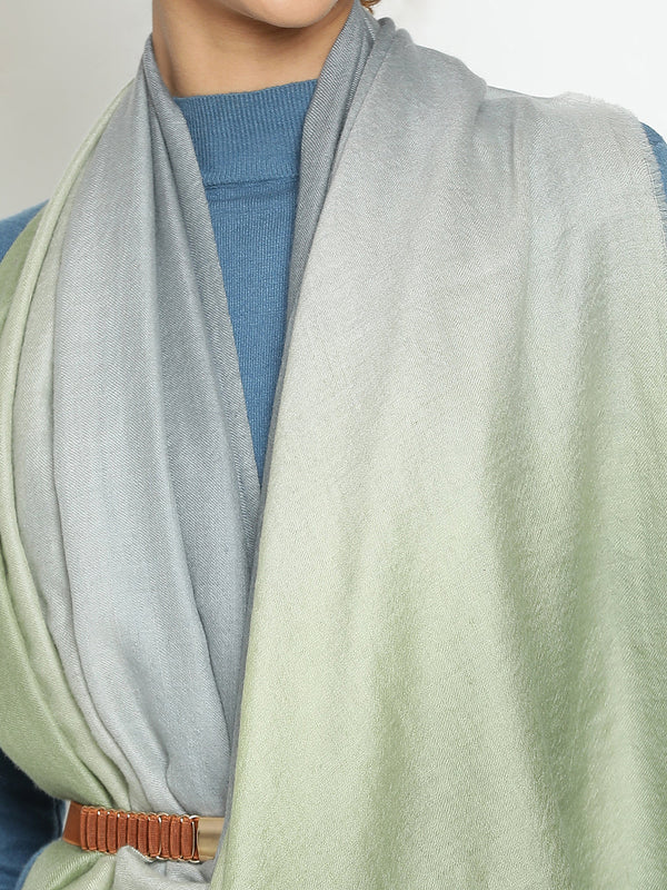 Pastel Green Ombre Cashmere Stole